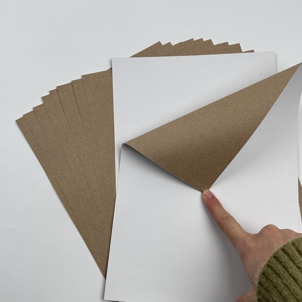 C1S Kraft Back Coated Duplex Board Paper In Sheet Or Reel