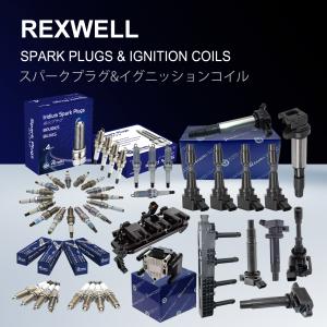 Standard Iridium Tip Spark Plug for Mitsubishi Pajero MN163236 BKR6ETP FR6KI332S