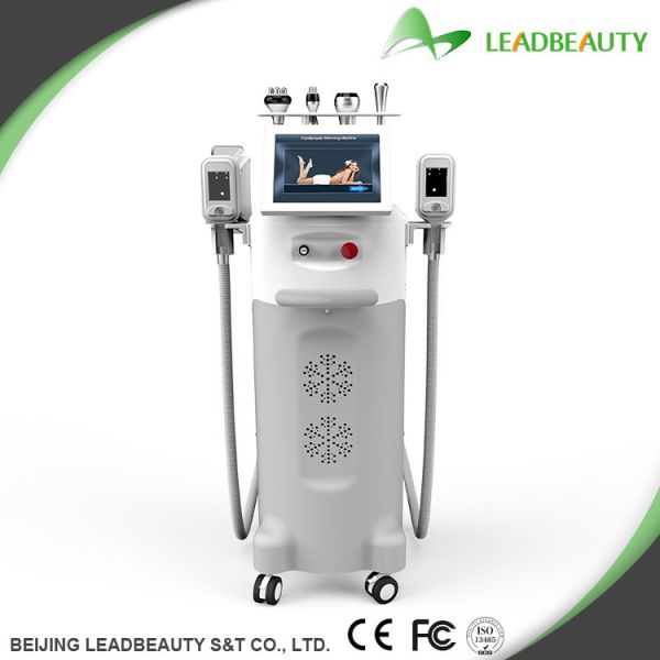 Quality Non-invasive best Body Slimming/Body shaping Machine Cryolipolysis wholesale