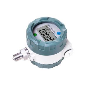 YW-100GB Explosion Proof Digital Pressure Gauge 80mm 100mm With Display