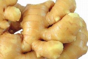 Ginger Extract, Gingerol, CAS No.: 1391-73-7, Vigna angutaris Extract, Galla
