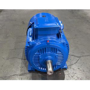 IC0141 Squirrel Cage Motor With 75mm Shaft Diameter For Continuous S1 Operation