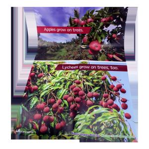 Matte Varnishing C2S Paper Travel Advertisement Poster