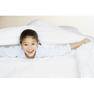 Healthy Home Tectiles Duck Down Pillows