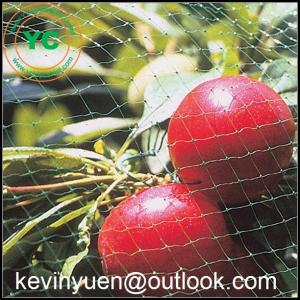 35' x 25' POULTRY NETTING GAME BIRD NET AVIARY NETS