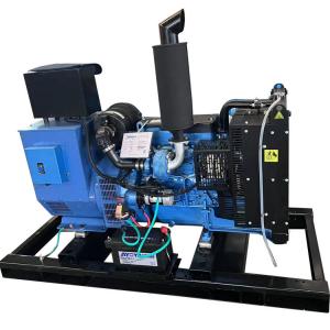 Cheap 32KW Weichai Boduan Diesel Generator Backup Emergency Power Supply with Auto and Air for sale