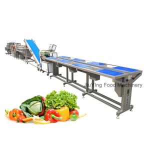 Industrial 140mm/s Vegetable Processing Machines With Cutting Washing Dewatering