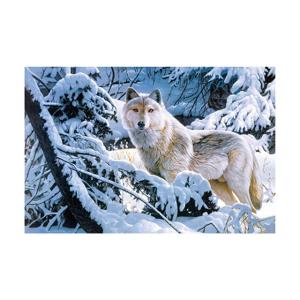 50*70cm 3d Lenticular Poster Animal Theme 3D Flip Effect With MDF Frame