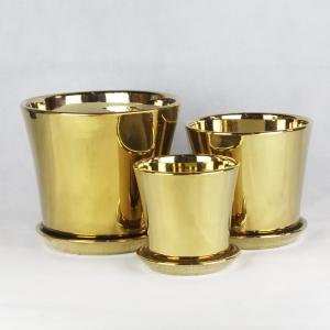 Customizable Ceramic Pots To Meet Your Specific Planting Requirements