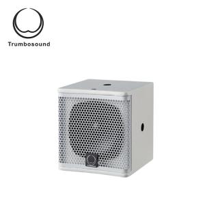 Professional 120dB Full Range Loudspeaker 4.5'' Column Speaker