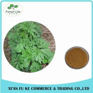 Chinese Herb Extract Mugwort Leaf Extract 5:1- 20:1