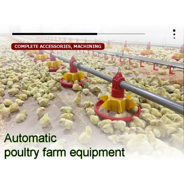 Waterproof Automatic Poultry Farm Equipment Chicken House Feeders Drinkers Complete Set