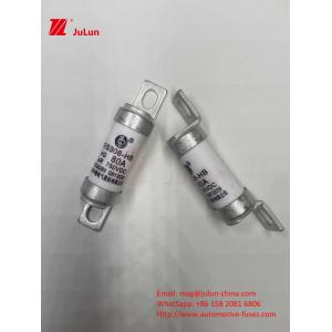 Ceramic EV Fuses  750VDC For Safe Chargingautomobile Application 63A25A 15A 30A 750VDC RS308 FUSE