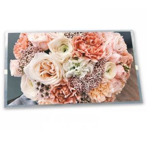 CLAA057VA01CW LCD Modules High Resolution 5.7-Inch stock Compatible WLED ODM LCD