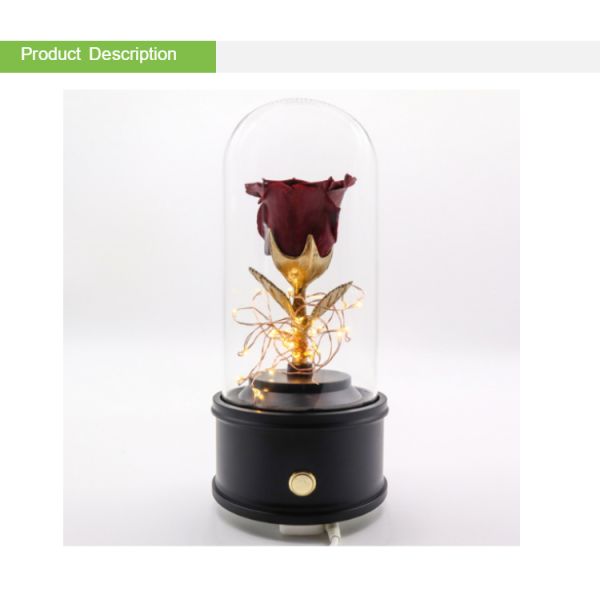 Eternal Handmade Design Preserved Rose Glass Dome With Bluetooth Speaker