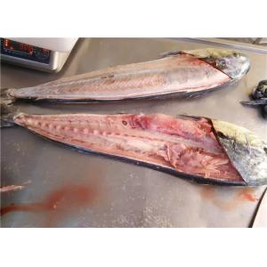 BQF Pacific Ocean 1KG 2KG Whole Round Fresh Mahi Mahi