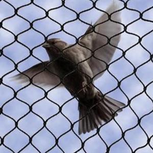 Non-Rusting 316 Stainless Steel Wire Rope Mesh Aviary Wire Netting For Zoo