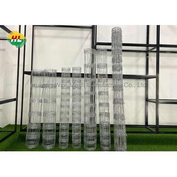 Quality L100mxH1200mm Graduated Dog Fencing Wire Mesh Roll With High Tensile wholesale