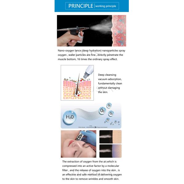 3 In 1 Hydra Beauty Machine Oxygen Jet Facial CO2 Bubble Exfoliate Equipment