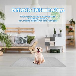Summer Cooling Latex Pet Mat PVC and Nylon Cat and Dog Sleeping Bed with Ice