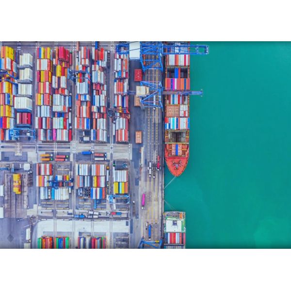 Quality Cargo Transportation DDP Sea Shipping Service With Customs Clearance wholesale