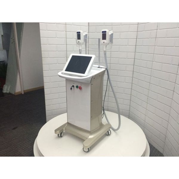Quality 15 degrees below zero fat freeze weight loss Cryolipolysis Slimming machine for non invasive body contouring wholesale