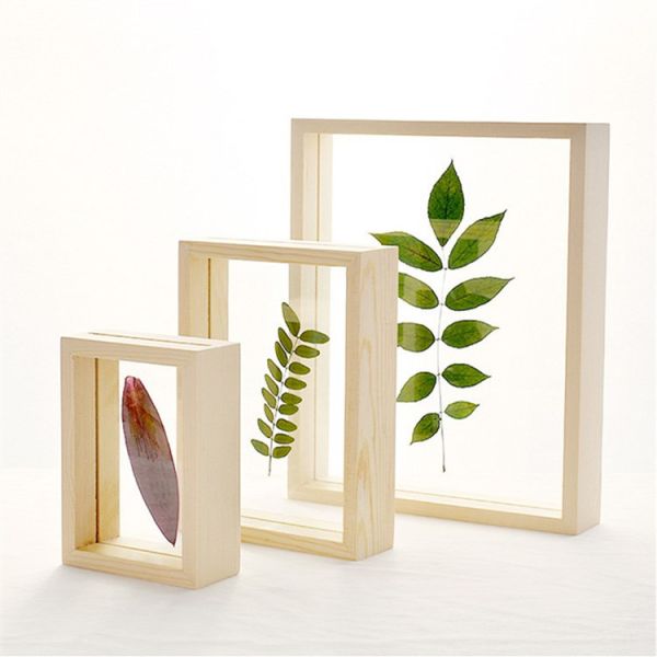 Creative Solid Wood and Acrylic Double-Sided Plant Specimen Transparent Frame