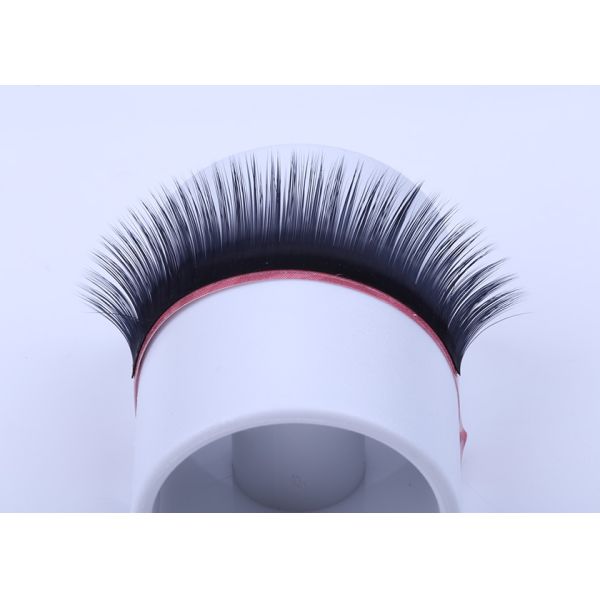 Volume Mink Rapid Blooming Eyelash Extensions for Private Label OEM ODM