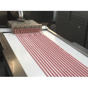 2 Layers Belts Design Pet Food Extruder Machine With Auto Tray System