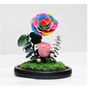 New Shape Glass dome Preserved Long Lasting Rose With Curving Stem In Glass Bell