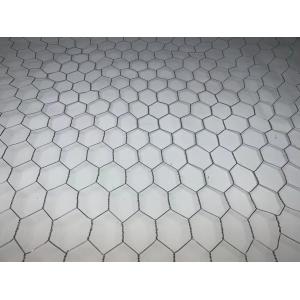 30mm Plaster Wall Metal Mesh 0.7mm Diameter Chicken Wire Mesh For Plastering