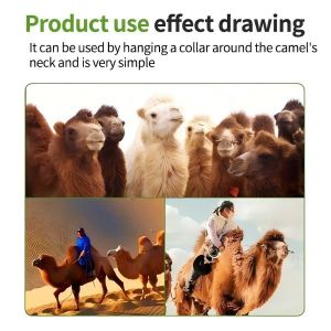 Camel GPS Monitoring Solution Real Time GPS Tracking With Voice Intercom