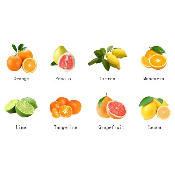 SUS304 500T/D Citrus Processing Line Automatic Juice Extracting