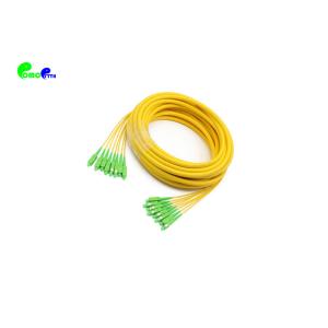 Breakout Fibre Patch Leads 8F SC APC - SC APC Single Mode 9 / 125 Fanout 2.0mm