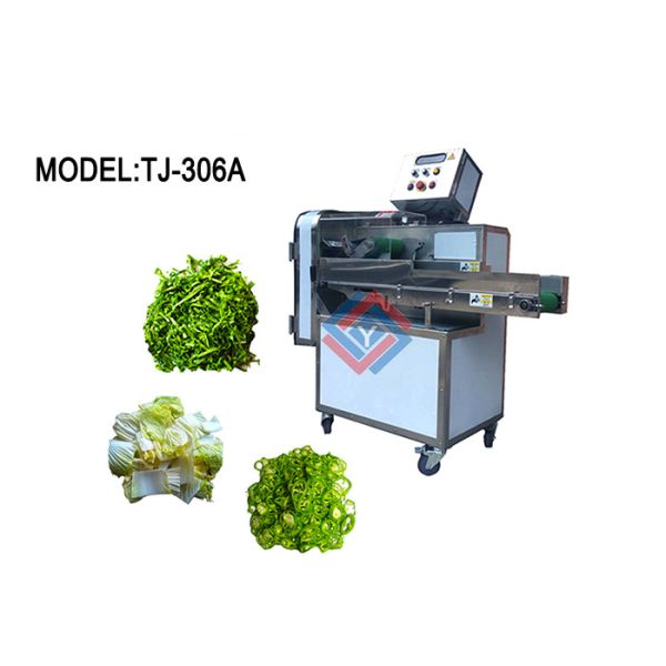 Commercial Fruit Vegetable Washer Machine , Vegetables Processing Line