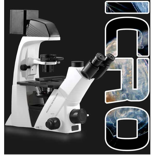 Trinocular Inverted Biological Microscope LWD Infinity Plan Phase Contrast
