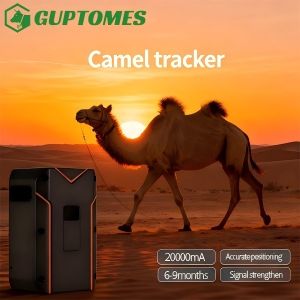 Cheap Camel GPS Monitoring Solution Real Time GPS Tracking With Voice Intercom for sale