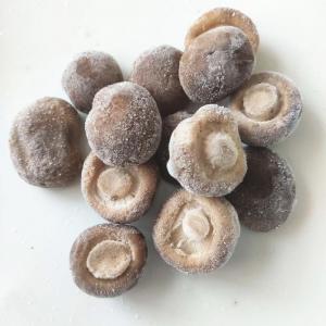 China IQF Frozen Shiitake Mushroom Whole, blanched on sale