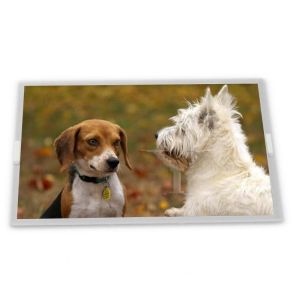 5 Inch A-Si TFT-LCD Modules BV050SQM-N00-390C Resolution 540*960