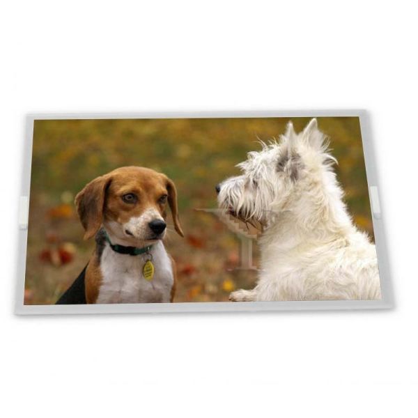 TX09D34VM3CPA 3.5 inch 240*320 navigation lcd tft lcd module new and orginal TFT