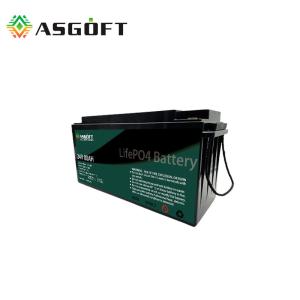 Smart BMS 8S1P 200Ah 24V Lithium Battery Pack Batt AU Lithium Iron Phosphate