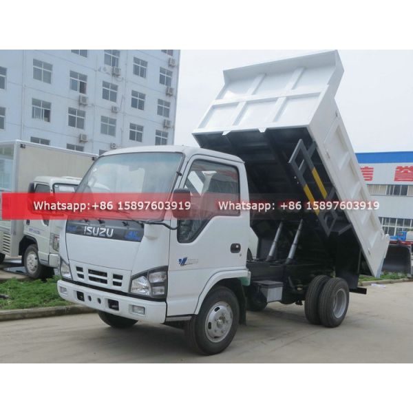 Philippines ISUZU NKR 4KB Small Light Dump Truck 5Tons 130HP Euro 5 Engine For Sales