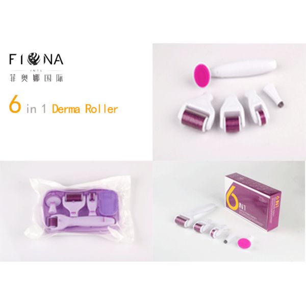 Quality High quality factory sales 6 in 1 derma roller custom logo needles micro needle roller derma skin roller CE approved wholesale