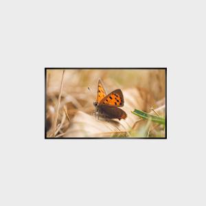 China 43 Inch LCD Panel 2000nits 1920*1080 LCMA-RX0430GL13-Z200 on sale