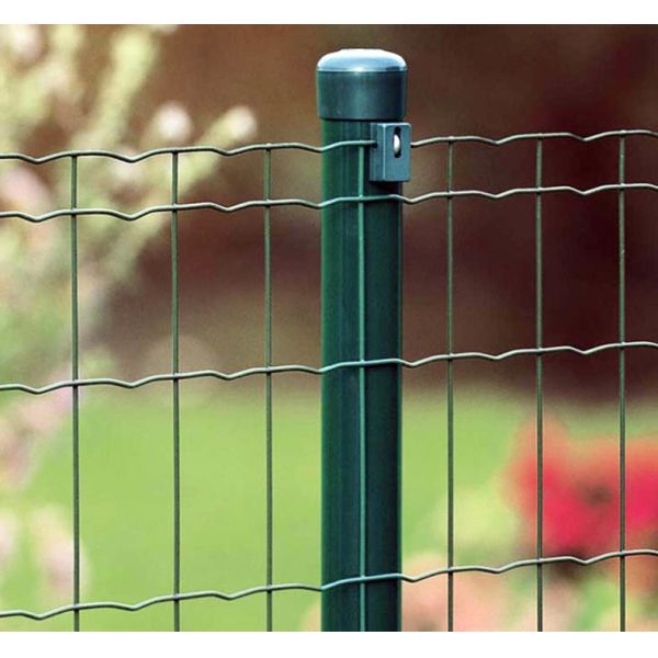 Quality TLWY PVC Coated Welded Mesh Fencing 9.0mm Holland Fence wholesale