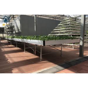 China ABS Plastic Ebb And Flow Rolling Benches Water Drain Hydroponic Grow Trays Flood Tables on sale