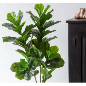 ODM 200cm Height Artificial Potted Floor Plants Fiddle Ficus