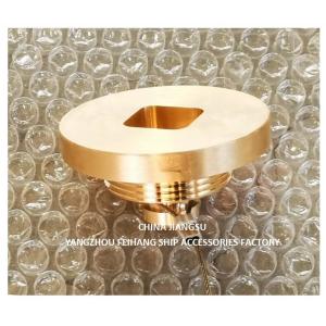 Pipe Sounding cap for Marine Application. Sounding Plug Brass.