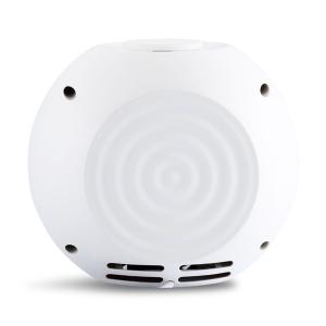 Negative Ion Automotive Air Purifier Portable For Harmful Pollutants Removal