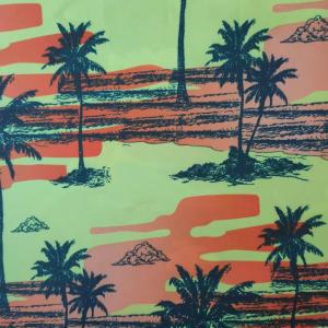 240t Microfiber Sublimation Printed Fabric 120gsm Peached Twill